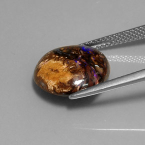 7.07캐럿 천연 멀티컬러 볼더 오팔, 라운드 컷, 13.50 mm, 불투명체