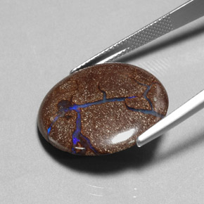 14.62캐럿 천연 다색 볼더 오팔, 라운드 컷, 불투명체