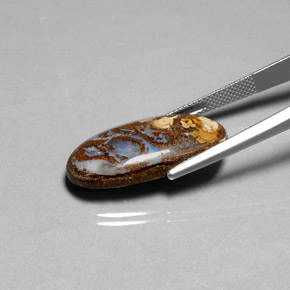 14.49캐럿 천연 다색 볼더 오팔, 타원형 컷, 불투명체