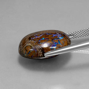 19.97캐럿 천연 다색 볼더 오팔, 타원형 컷, 불투명체