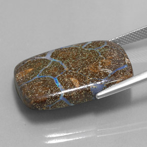 22.37캐럿 천연 다색 볼더 오팔, 쿠션 컷, 불투명체