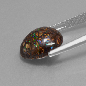 9.07캐럿 천연 멀티컬러 볼더 오팔, 멋진 모양, 14.1×11.9 mm, 불투명체