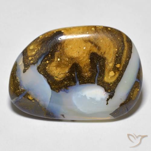 12.38ct 자연스러운 다색 볼더 오팔, 팬시한, 투명한
