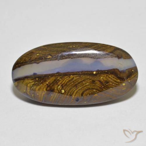 12.50ct 자연스러운 다색 볼더 오팔, 타원형, 투명한
