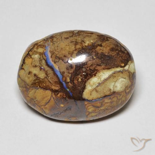 12.53ct 자연스러운 다색 볼더 오팔, 타원형, 불투명체