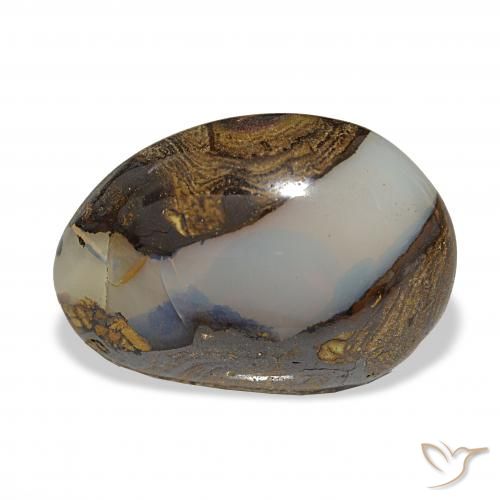 17.39ct 다색 볼더 오팔 보석, 팬시한, 투명한