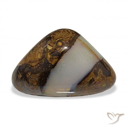 16.35ct 다색 볼더 오팔, 일조, 투명한