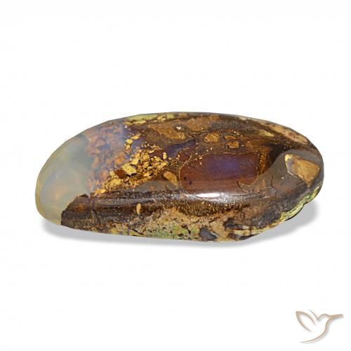 6.91캐럿 천연 다색 볼더 오팔, 팬시한, 불투명체