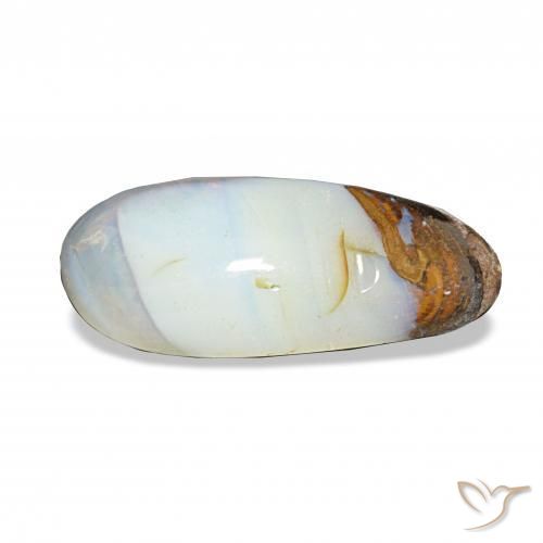 5.79캐럿 천연 다색 볼더 오팔, 팬시한, 불투명체