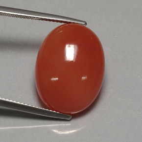 17.21캐럿 천연 레드 오렌지 카넬리안, 투명한, 20.2×15.4 mm, 투명/반투명