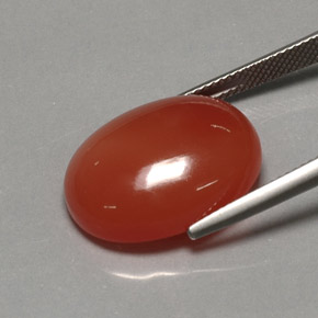 17.21캐럿 천연 레드 오렌지 카넬리안, 투명한, 20.2×15.4 mm, 투명/반투명