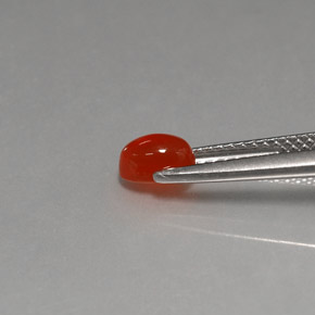 0.57캐럿 천연 레드 오렌지 홍옥수, 투명한, 투명/반투명