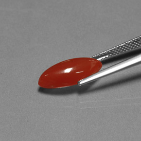 3.11캐럿 천연 레드 오렌지 카넬리안, 투명한, 15.1×7.2 mm, 투명/반투명
