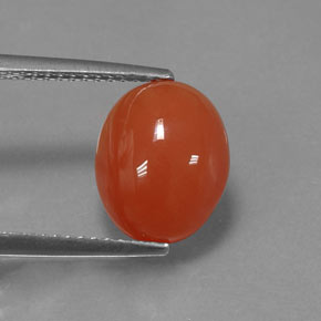 3.33캐럿 천연 레드 오렌지 카넬리안, 타원형 컷, 11.1×9.1 mm, 투명한