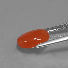 3.02캐럿 천연 오렌지 카넬리안, 타원형 컷, 11.1×9 mm, 투명한