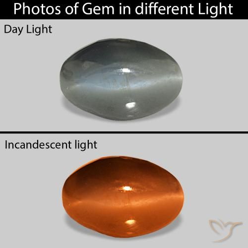 1.00캐럿 천연 미디엄 그레이 Cat's Eye Alexandrite, 타원형, 불투명체