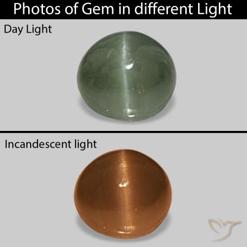 0.59캐럿 천연 미디엄 그린 Cat's Eye Alexandrite, 타원형, 불투명체