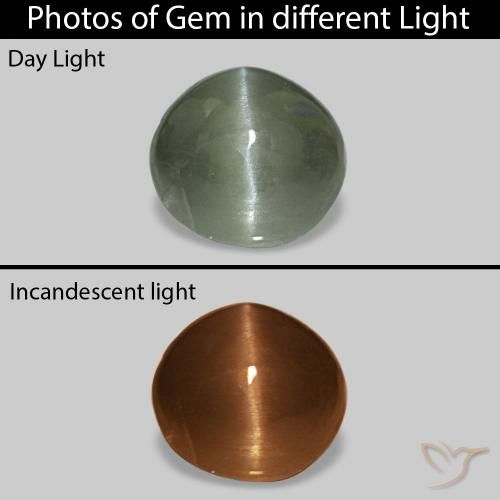 0.54캐럿 천연 미디엄 그린 Cat's Eye Alexandrite, 타원형, 불투명체