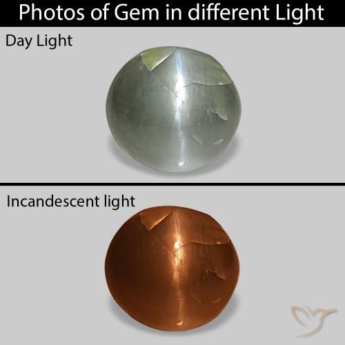 0.51캐럿 천연 회색 녹색 Cat's Eye Alexandrite, 타원형, 불투명체