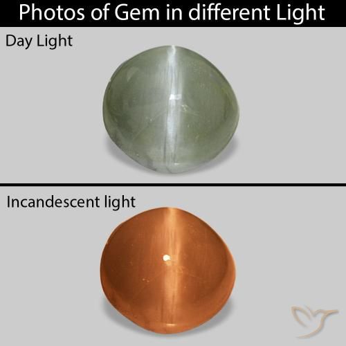 0.60ct 미디엄 그린 Cat's Eye Alexandrite, 타원형, 불투명체