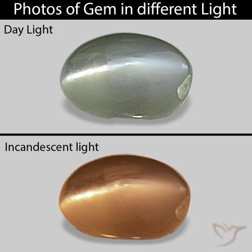 0.71캐럿 천연 미디엄 그린 Cat's Eye Alexandrite, 타원형, 불투명체