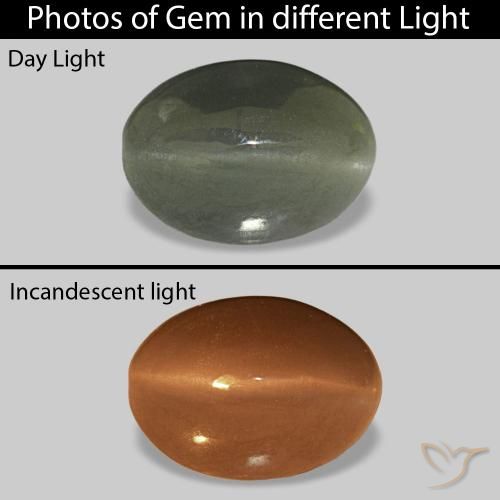 0.61ct 미디엄 그린 Cat's Eye Alexandrite, 타원형, 불투명체