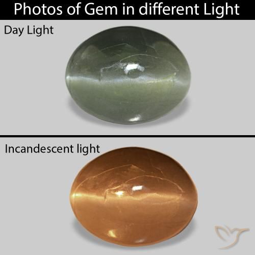 0.62캐럿 천연 옅은 숲 녹색 Cat's Eye Alexandrite, 타원형, 불투명체