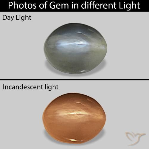 0.72캐럿 천연 미디엄 그레이 Cat's Eye Alexandrite, 타원형, 불투명체