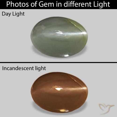 0.56ct 미디엄 그린 Cat's Eye Alexandrite, 타원형, 불투명체