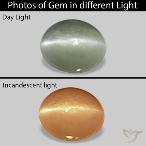 0.56캐럿 천연 미디엄 그린 Cat's Eye Alexandrite, 타원형, 불투명체