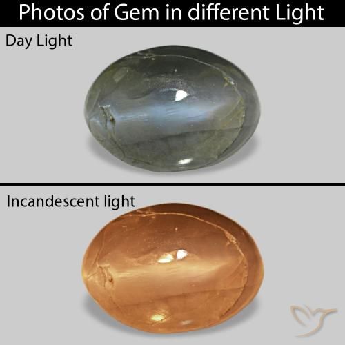 0.52캐럿 천연 옅은 녹색을 띤 회색 Cat's Eye Alexandrite, 타원형, 불투명체