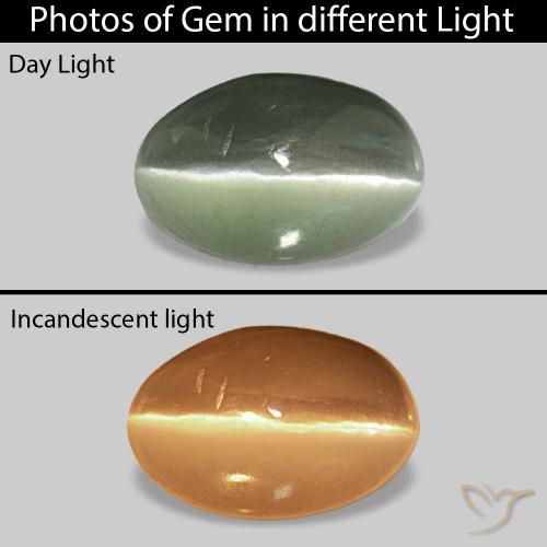 0.73캐럿 천연 회색 녹색 Cat's Eye Alexandrite, 타원형, 불투명체