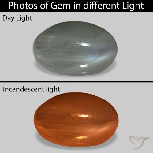 0.92캐럿 천연 미디엄 그레이 Cat's Eye Alexandrite, 타원형, 불투명체