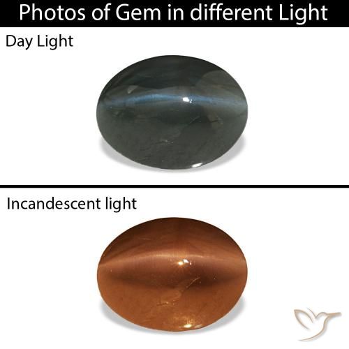 0.96캐럿 천연 스틸 그레이 Cat's Eye Alexandrite, 타원형, 불투명체