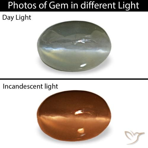 0.50ct 그레이 Cat's Eye Alexandrite, 오벌, 불투명체