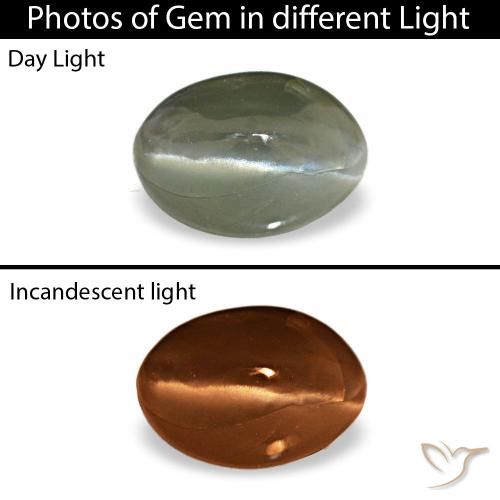 0.49ct 그레이 Cat's Eye Alexandrite, 오벌, 불투명체