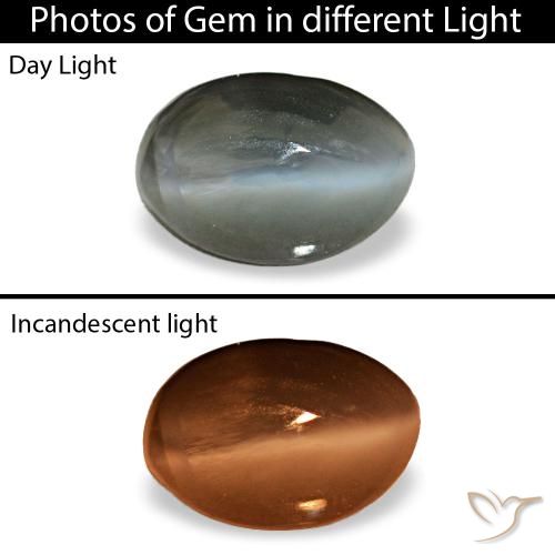 0.56캐럿 천연 옅은 녹색을 띤 회색 Cat's Eye Alexandrite, 타원형 컷, 5.5×3.8 mm, 불투명체