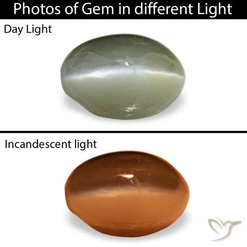 0.59ct 그린 Cat's Eye Alexandrite, 오벌, 불투명체