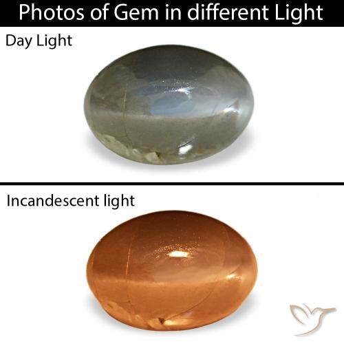 0.51ct 그린 Cat's Eye Alexandrite, 오벌, 불투명체
