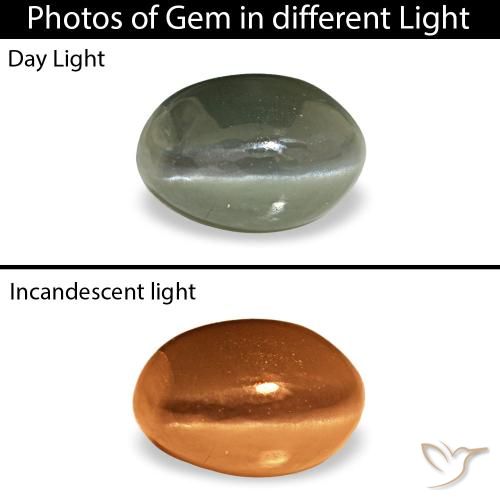 0.53ct 그린 Cat's Eye Alexandrite, 오벌, 불투명체