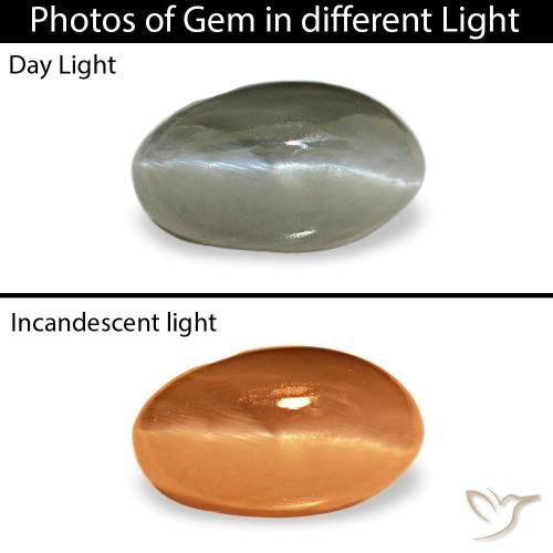 0.50ct 그린 Cat's Eye Alexandrite, 오벌, 불투명체