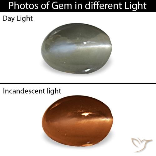 0.54캐럿 천연 미디엄 그린 Cat's Eye Alexandrite, 타원형 컷, 5.3×3.9 mm, 불투명체