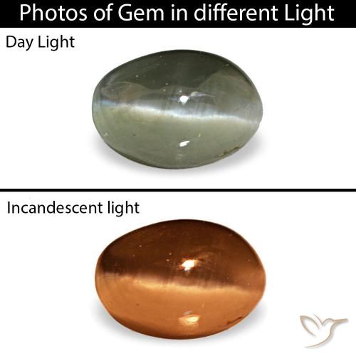 0.49캐럿 천연 미디엄 그린 Cat's Eye Alexandrite, 타원형 컷, 4.9×3.4 mm, 불투명체
