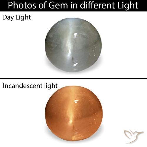 0.51ct 그레이 Cat's Eye Alexandrite, 오벌, 불투명체