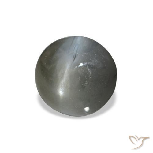0.51캐럿 천연 어두운 회색 Cat's Eye Alexandrite, 타원형 컷, 4.6×4.4 mm, 불투명체
