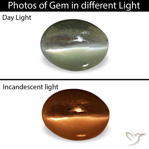 0.42캐럿 천연 스틸 그레이 Cat's Eye Alexandrite, 타원형 컷, 5.2×3.9 mm, 불투명체