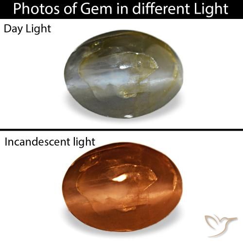 0.48ct 그레이 Cat's Eye Alexandrite, 오벌, 불투명체