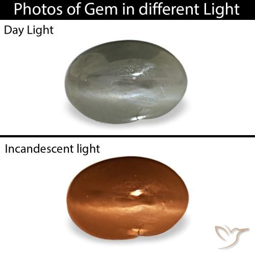 0.35캐럿 천연 미디엄 그레이 Cat's Eye Alexandrite, 타원형 컷, 5.2×3.5 mm, 불투명체