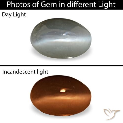 0.33ct 그레이 Cat's Eye Alexandrite, 오벌, 불투명체