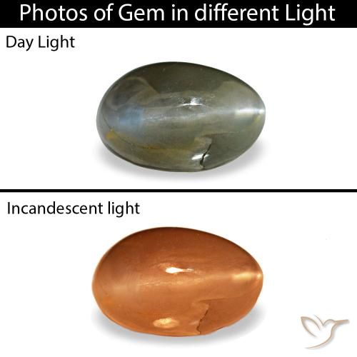 0.46캐럿 천연 어두운 회색 Cat's Eye Alexandrite, 타원형 컷, 5.3×3.3 mm, 불투명체